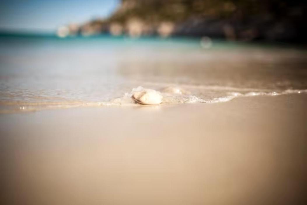 Vue Mer Plage Catalans Vieux Port Clim - 2 Chambres Marseilles Buitenkant foto